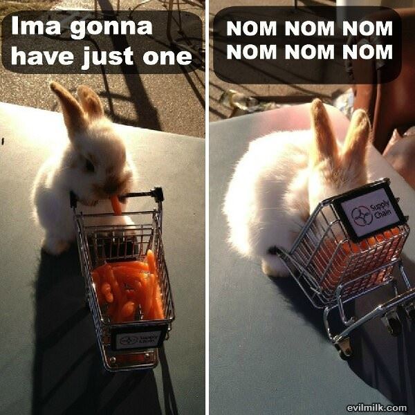 just going to have 1
