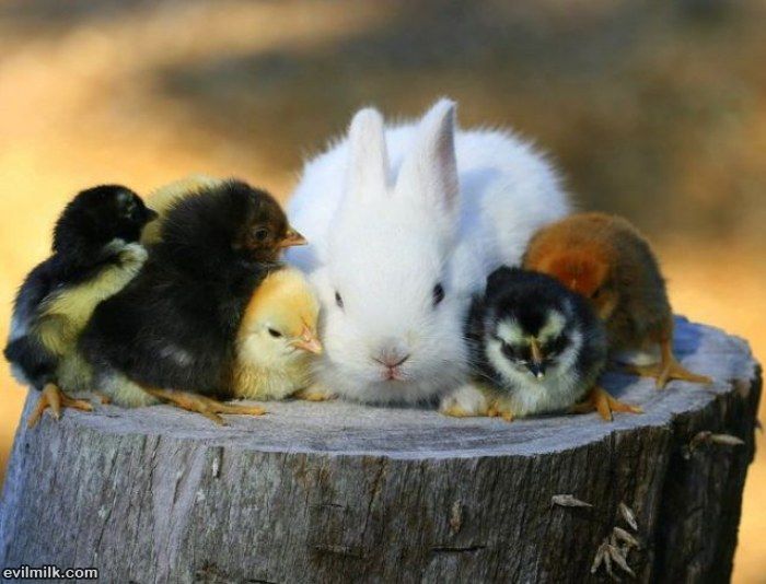 my buddies