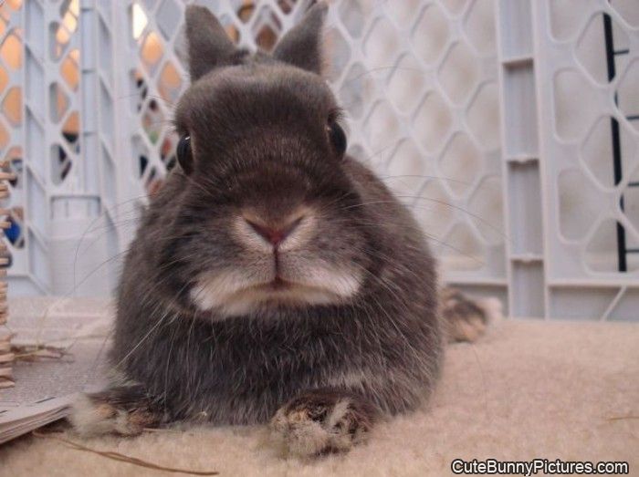 what is that smell