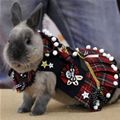 All Dressed Up