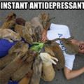 Antidepressant