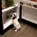 Are The Carrots In Here