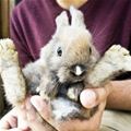Dude Put Me Down