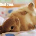 I Felled Over