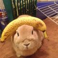 I Have A Banana