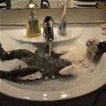 Just Chillllin