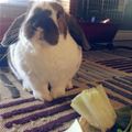 Mah Salad