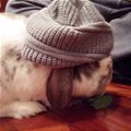 Nice Hat