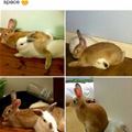 No Concept Of Personal Space