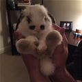 Such A Cute Bunny