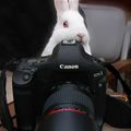 Taking Some Pics