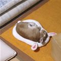 This Bunny Needs A Nap