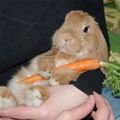 This Is Mine