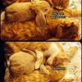 Whatcha Doin