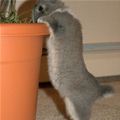 Whatcha Got Here