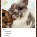 Why He Lick Me